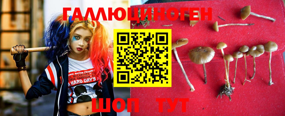 Галлюциногенные грибы MAGIC MUSHROOMS Химки
