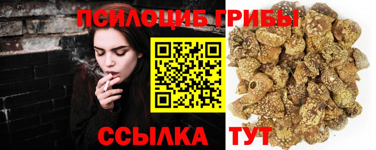 Галлюциногенные грибы Magic Shrooms  Галлюциногенные грибы мицелий  Вход с VPN  Химки 